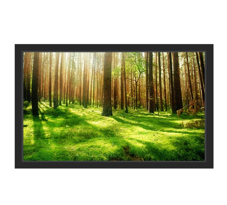 液晶監(jiān)視器43寸